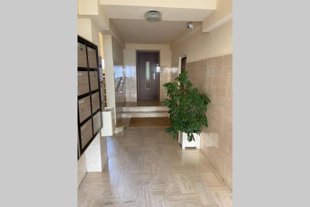 Magnifique T2 Neuf 40m2 Avec Balcon Au Trottel 4 Couchages Wifi Clim Parking A Pieds 100m Apartment Ajaccio (Corsica)