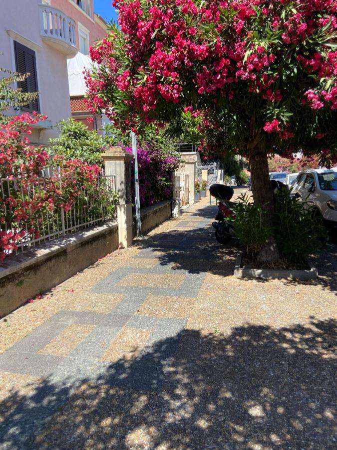 Apartment Magnifique T2 Neuf 40m2 Avec Balcon Au Trottel 4 Couchages Wifi Clim Parking A Pieds 100m Ajaccio (Corsica)
