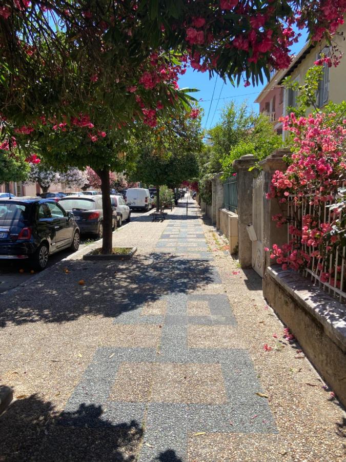 Magnifique T2 Neuf 40m2 Avec Balcon Au Trottel 4 Couchages Wifi Clim Parking A Pieds 100m Ajaccio (Corsica)